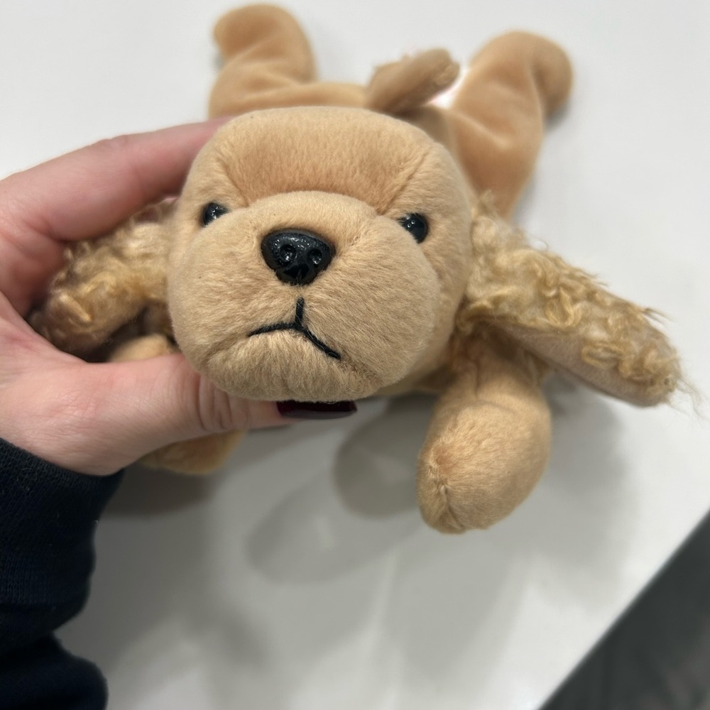 Extremely rare Beanie Babie Spunky with off centre stitching, tag errors, stamp